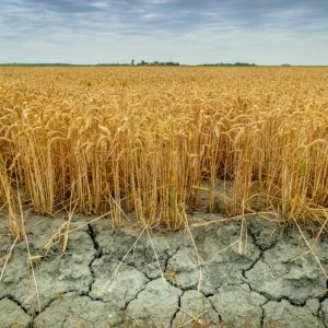 Waterschap in de wereld van morgen